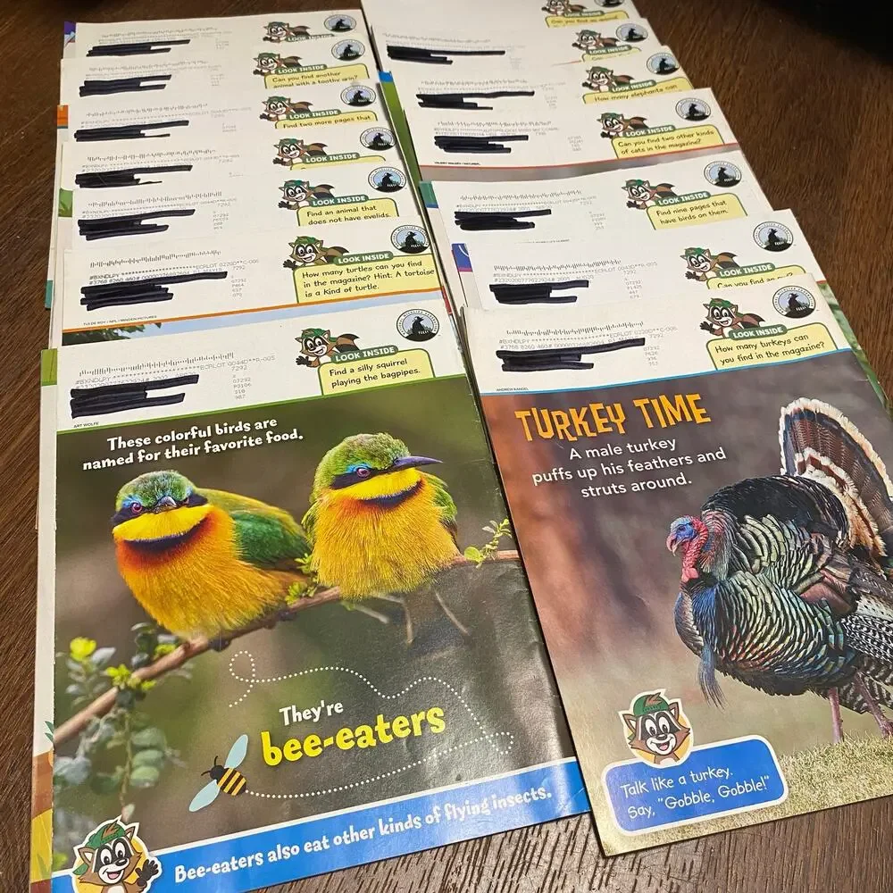 Ranger Rick Jr. Magazine Lot of 14 Kids Nature Homeschool Wildlife Children